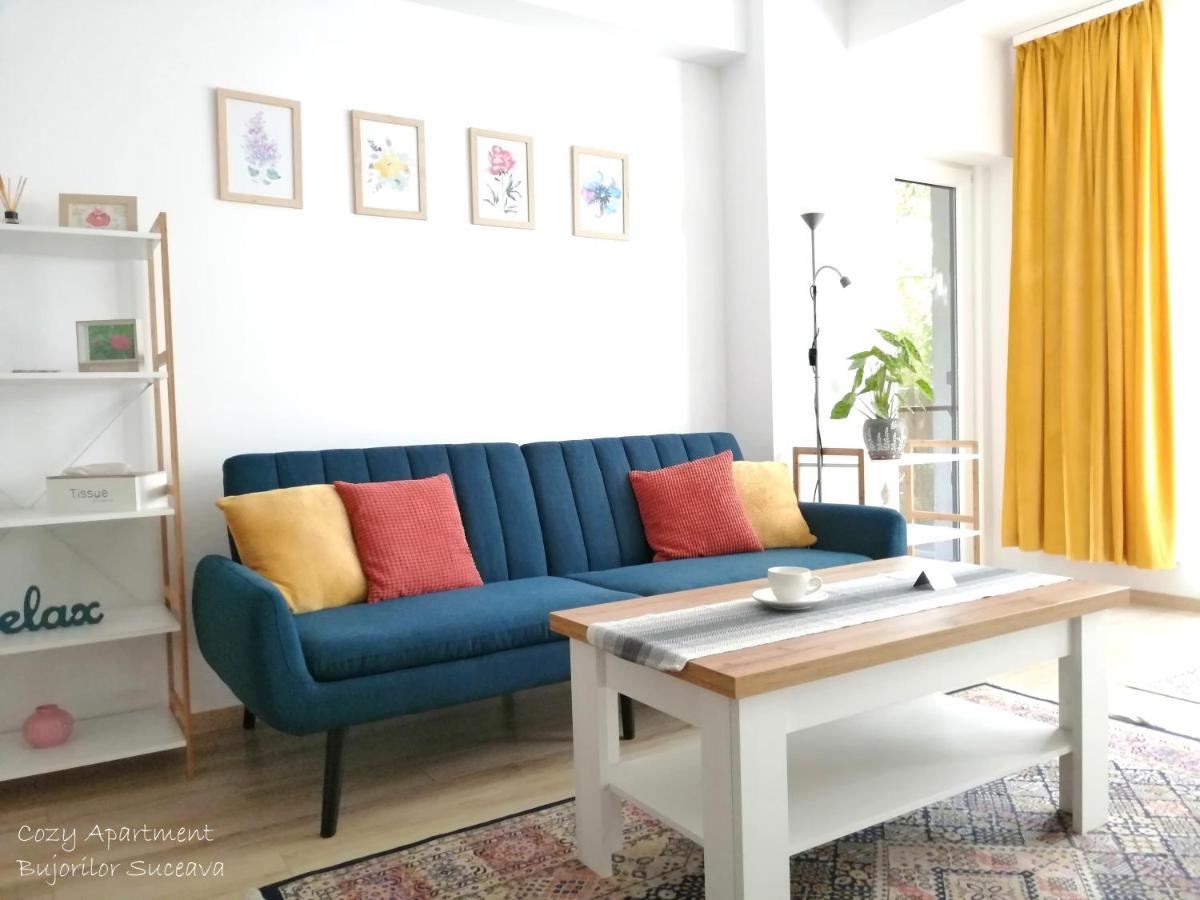 Cozy Apartment Bujorilor Suceava Exterior photo